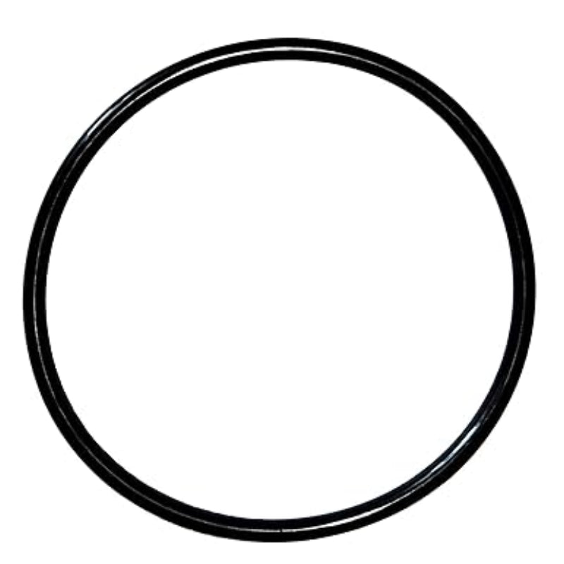 350013 Lid O-Ring Replacement JPG