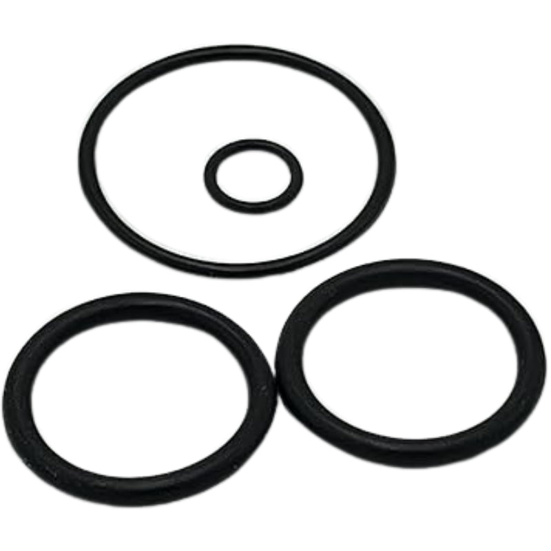 Pentair 273109 Abs Backwash Slide Valve O-ring Kit - Foto 2