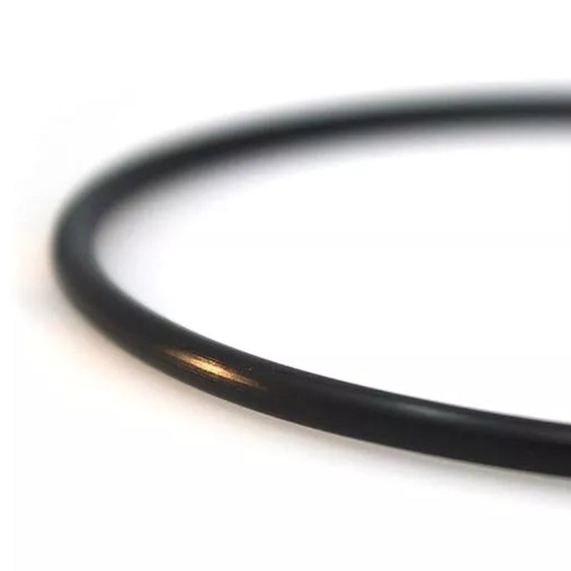 Pool-Spa-Filter-Pump-Replacement-O-Ring_1