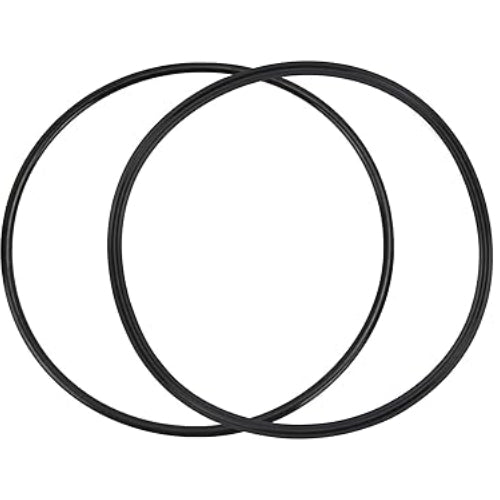 R0446200-Pool-Pump-Lid-O-Ring