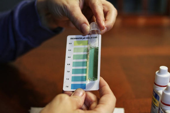What Is pH Balance, and Why Your Pool Needs It Just Right