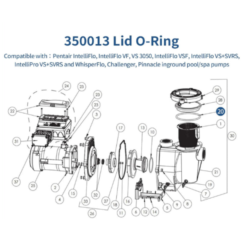 350013 Lid O-Ring JPG