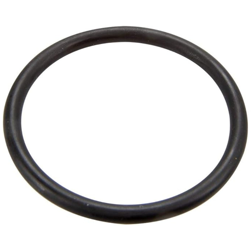 Pentair 35505-1429 O-Ring Replacement JPG