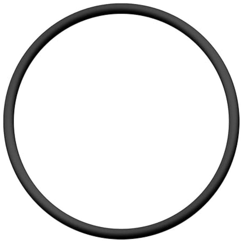 357255 Lid O-Ring Replacement JPG