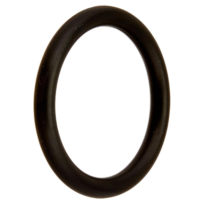 Pentair 51005000 Drain Plug O-Ring Replacement JPG