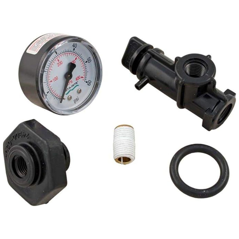 Pentair 24850-0105 Valve and Gauge Assembly JPG