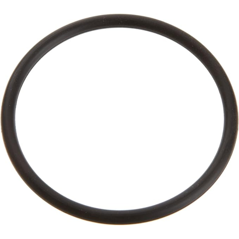 Pentair 6020018 O-Ring Replacement JPG