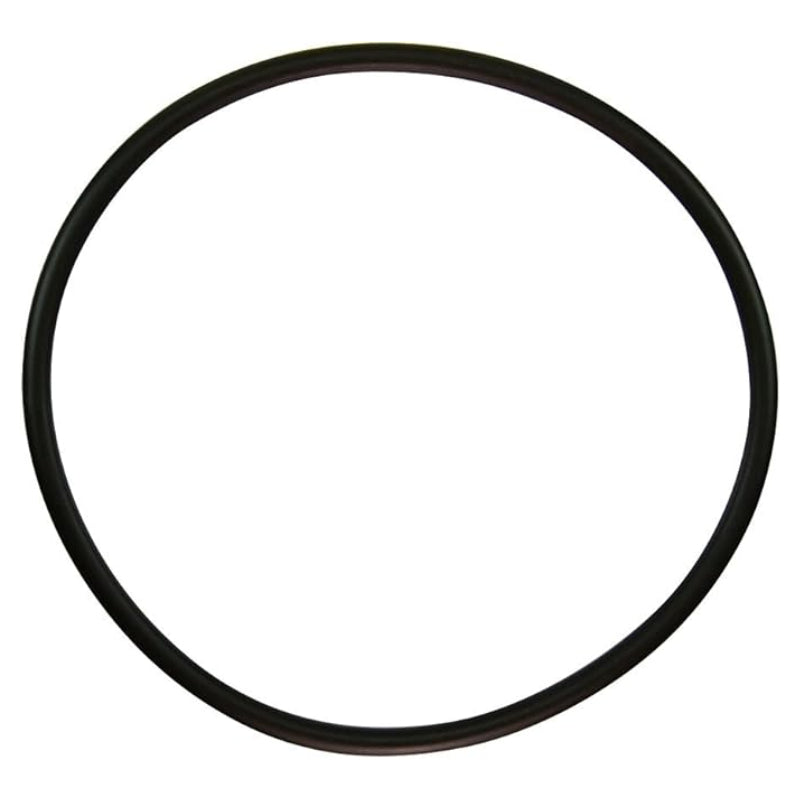 Pentair 35505-1440 Trap Cover O-Ring  JPG